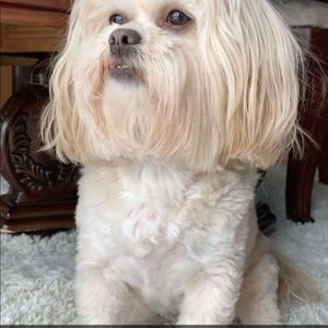 Meet your Posher, Daniela